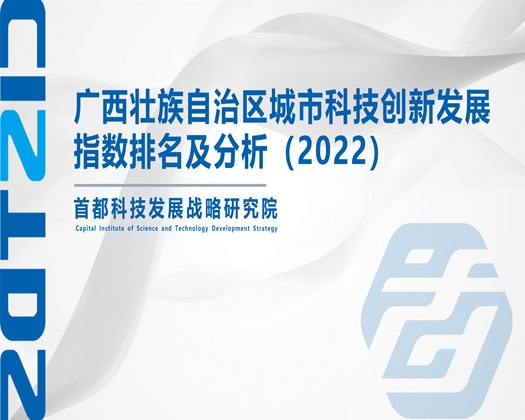 啪干逼干逼啪干【成果发布】广西壮族自治区城市科技创新发展指数排名及分析（2022）